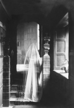 Boo! Theme Idea
